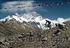 mountain biker